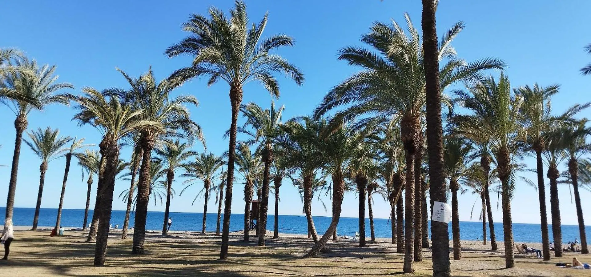 San Antonio - Beach, Pool And Terrace Torremolinos Spain